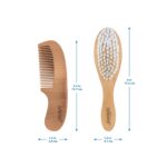 best price Dr. Brown’s Soft and Safe Baby Brush +