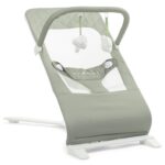 best baby Bouncers for baby Baby Delight Alpine Deluxe Portable