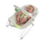 best baby Bouncers for baby Bright Starts Baby Bouncer Soothing