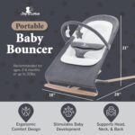 best baby Bouncers for baby Baby Bouncer with Elegant Wood