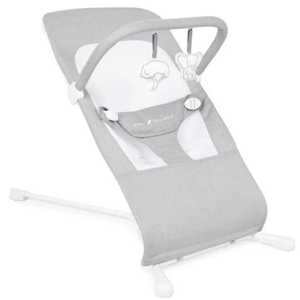 best  baby Bouncers for baby Baby Delight Highland Baby Bouncer | Infant | 0 – 6 Months | 3-Position Recline | Pebble Grey  - best price baby  Bouncers in best baby specials