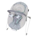 best  baby Bouncers for baby Smart Steps Trend EZ Bouncer, Ziggy  - best price baby  Bouncers in best baby specials