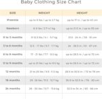 Burt’s Bees Baby Newborn Essentials Unisex Organic Cotton Booties best